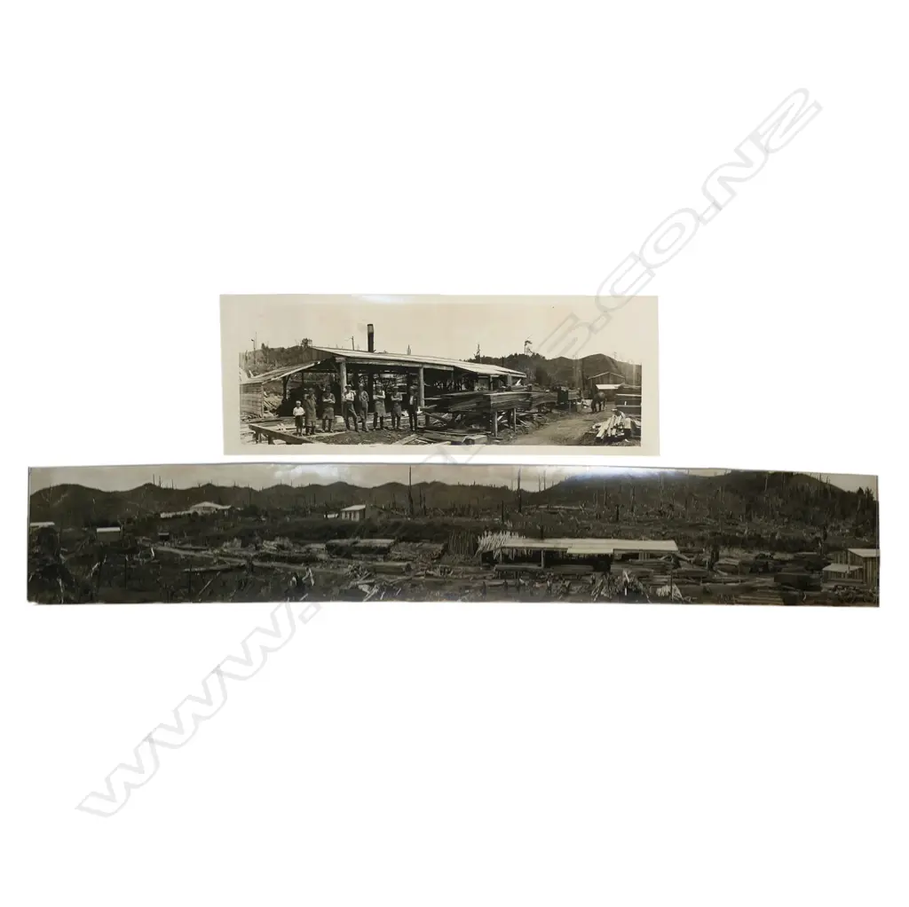 2 VINTAGE PANORAMIC NZ  PHOTOS of a bush sawmill W.580 & 1160mm Image 1++